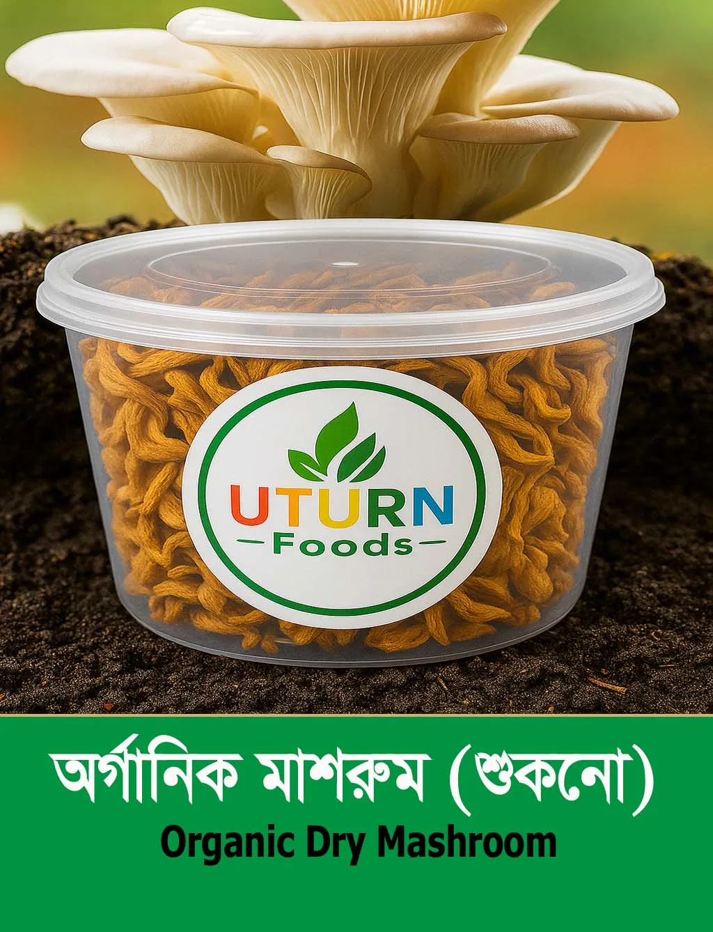 Organic Dry Mushroom